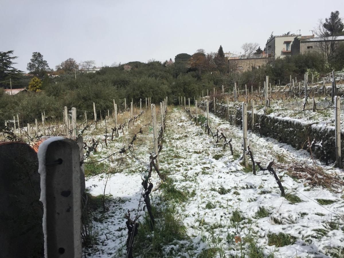 Malicodia Villa Santa Maria di Licodia Kültér fotó