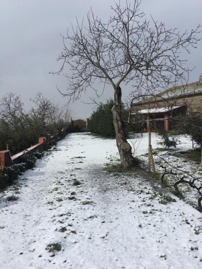 Malicodia Villa Santa Maria di Licodia Kültér fotó
